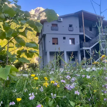 Center Park * 발보너